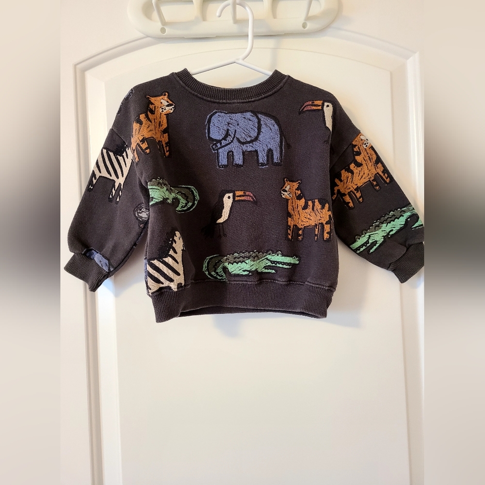 ❤️❤️❤️3 For $20❤️❤️❤️Zara Sweatshirt🐘